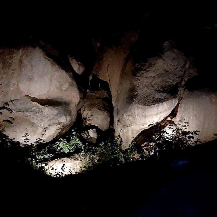 Shankar Homestay Hampi Bagian luar foto