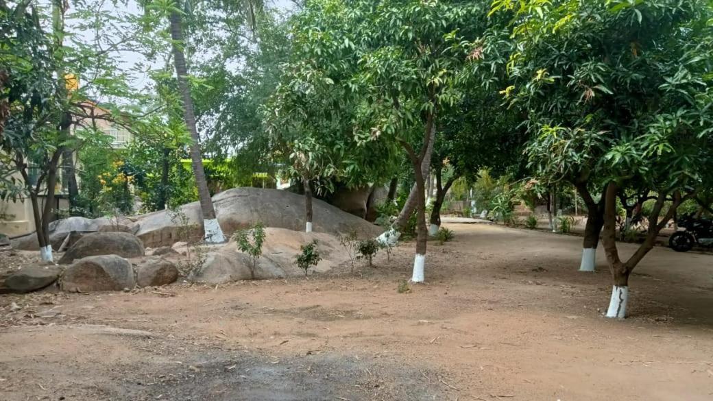 Shankar Homestay Hampi Bagian luar foto